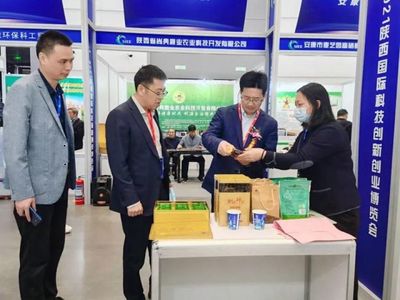 安康市参加2021陕西国际科技创新创业博览会